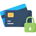 Secured Online Payment